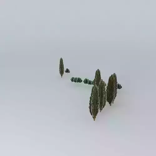 Trees near the dorms UP in Poznan