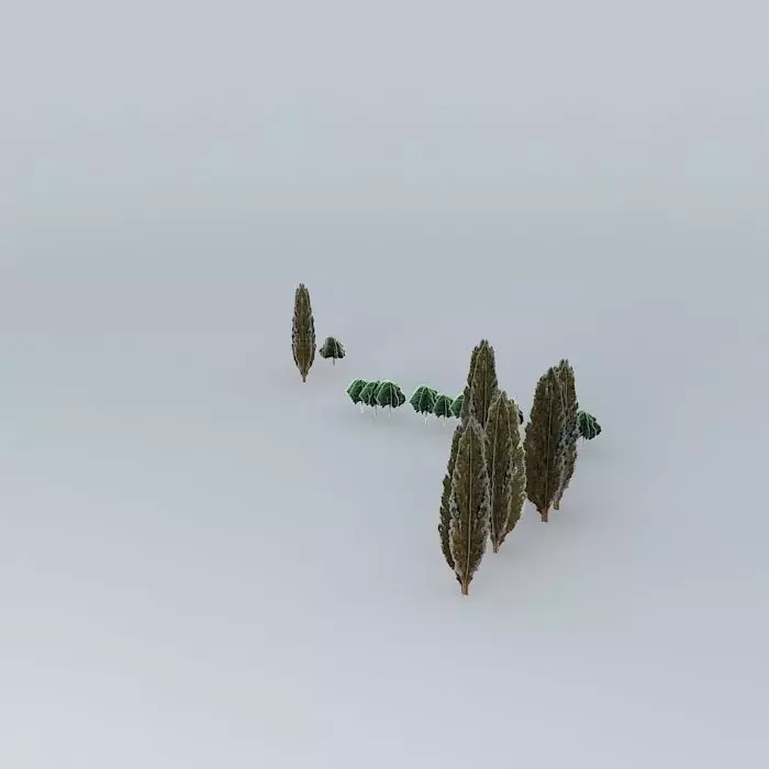 Trees near the dorms UP in Poznan Free 3D model