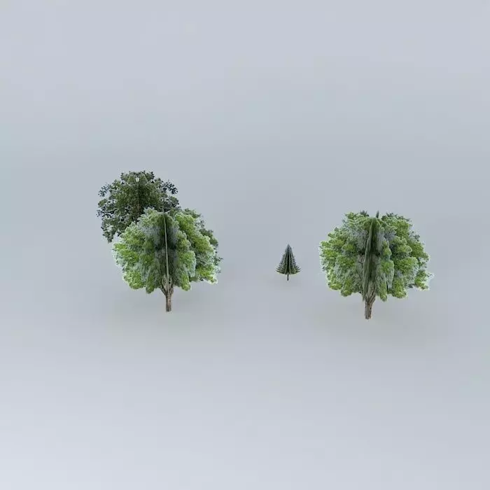 Trees on Causeway Free 3D model