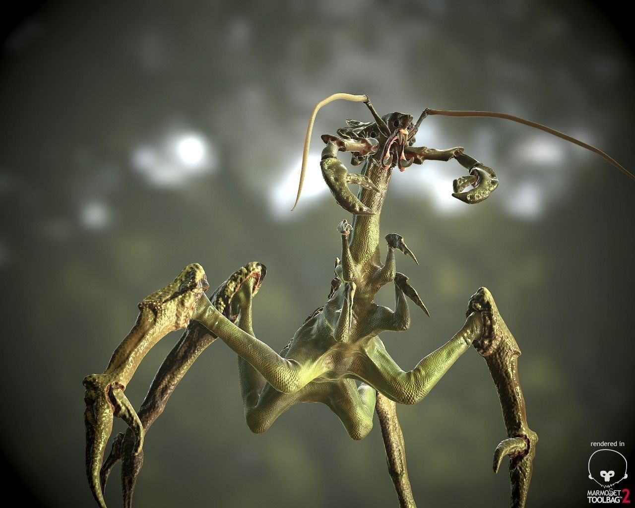 Alien Lizard Crab Game Model Low-poly 3D model_4