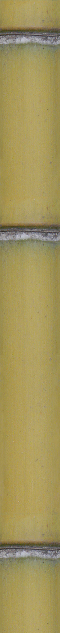 Bamboo Gazebo Low-poly 3D model_3