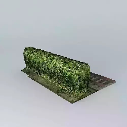 Eco Rail Hedge Dummy Old Steam Days Free 3D model