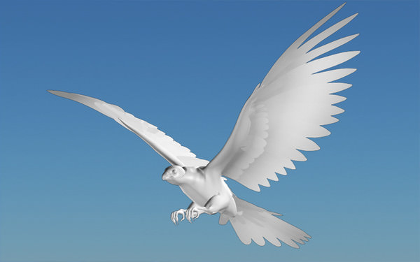 Peregrine Falcon Folded Wings Low-poly 3D model_9