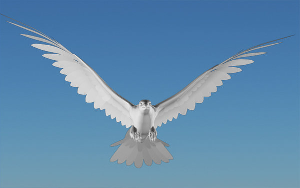 Peregrine Falcon Folded Wings Low-poly 3D model_7
