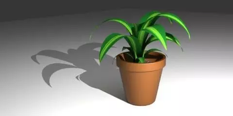 Flowerpot plant in pot Free 3D model