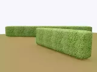 Hedge topiary