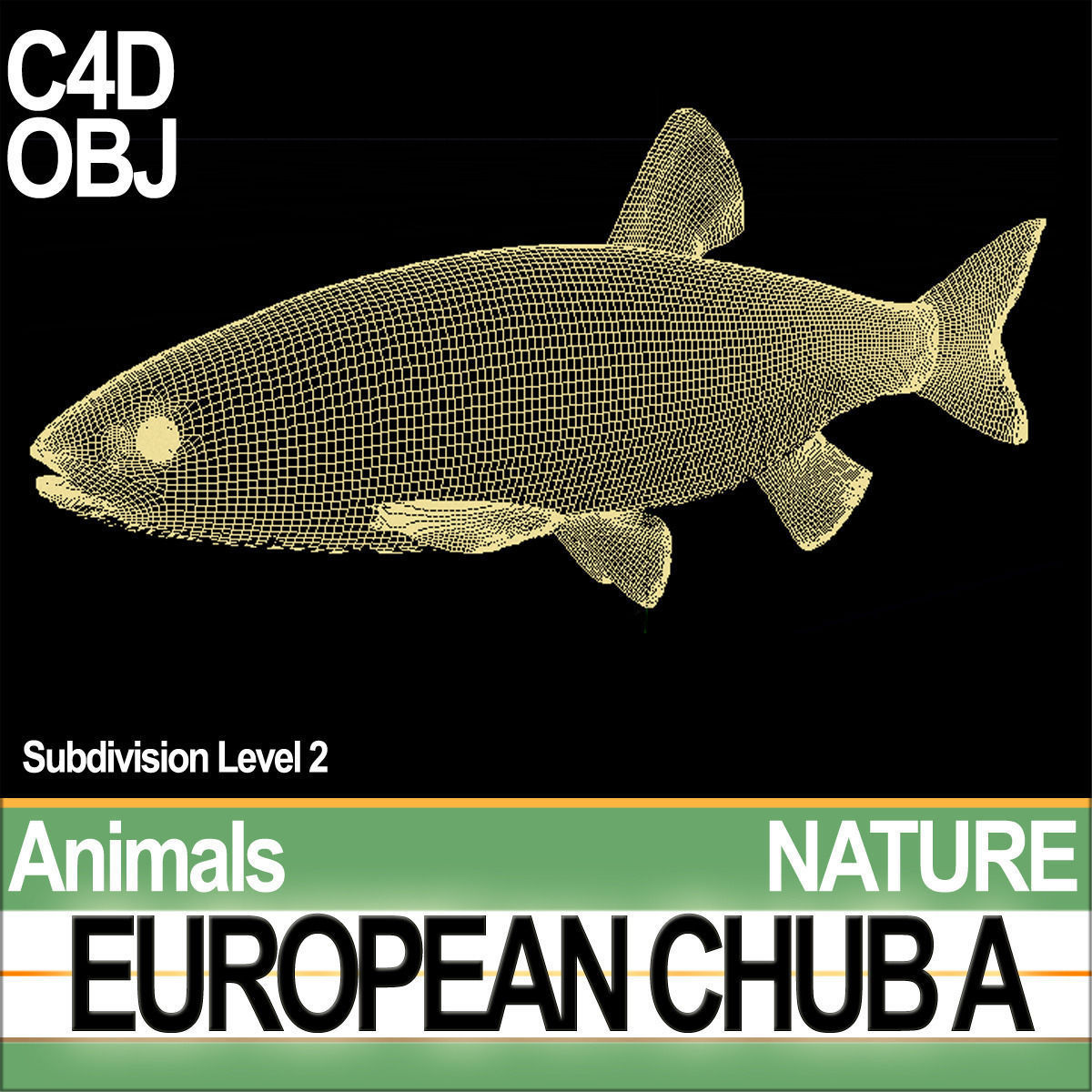 European Chub A 3D model_6