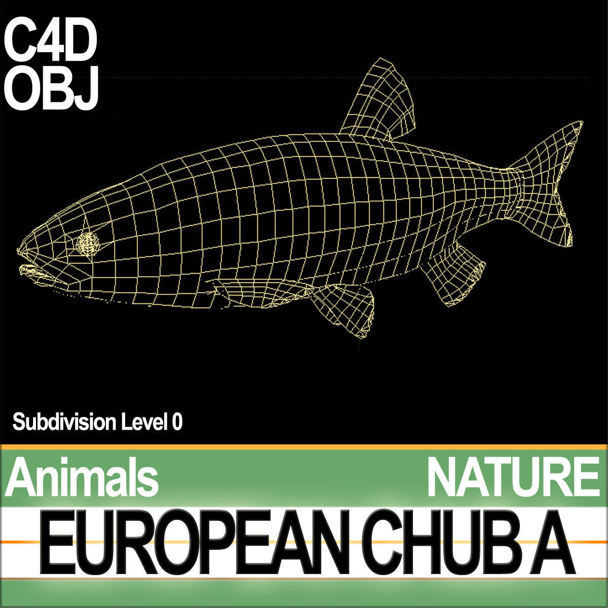 European Chub A 3D model_4
