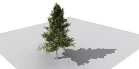 Mask tree 3 Free 3D model