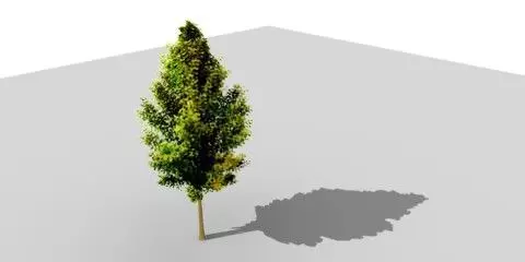 Mask Tree 1 Free 3D model_0