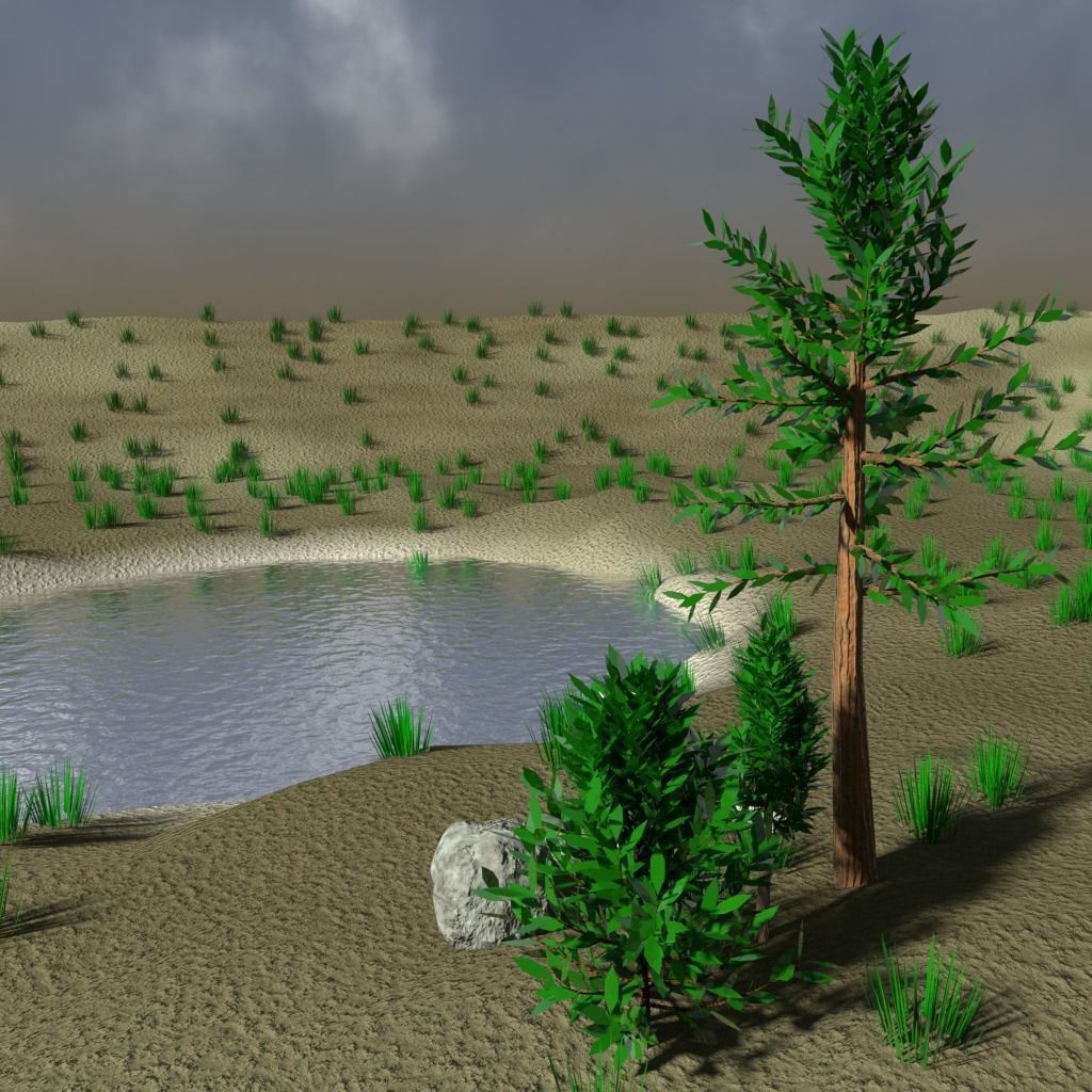 Pond scene with trees rocks and grass 3D model