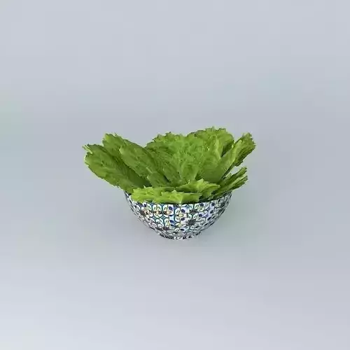 Salad bowl of lettuce Free 3D model