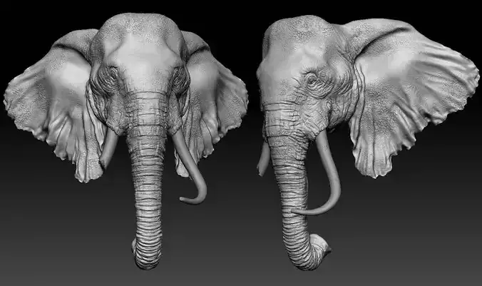 Elephant Head Free 3D model