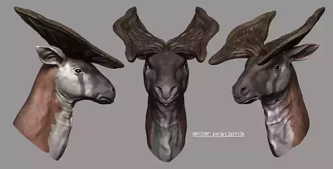 prolybitherium horned deer head Free 3D model