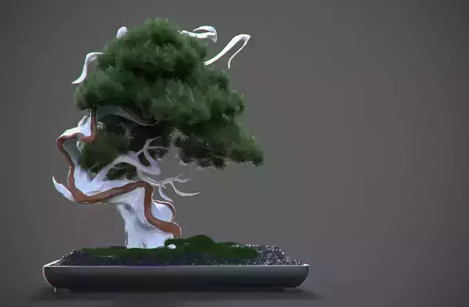 Bonsai tree Free 3D model