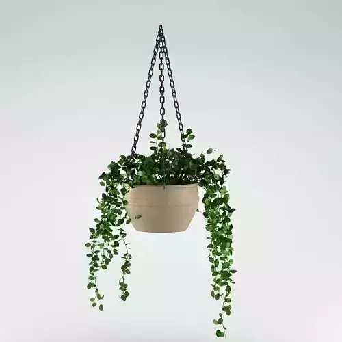 Plant 29 3D model