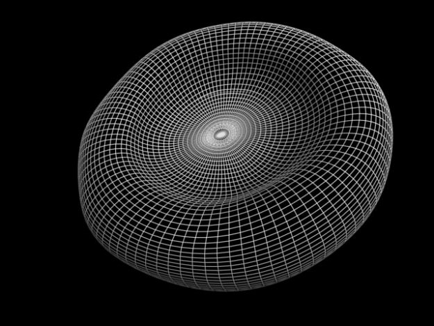 Red Blood Cells Animated 3D model_9