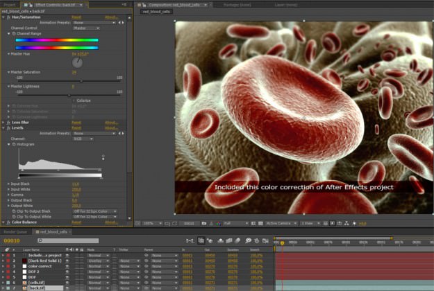 Red Blood Cells Animated 3D model_13