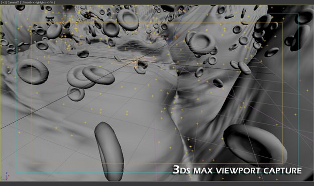 Red Blood Cells Animated 3D model_8