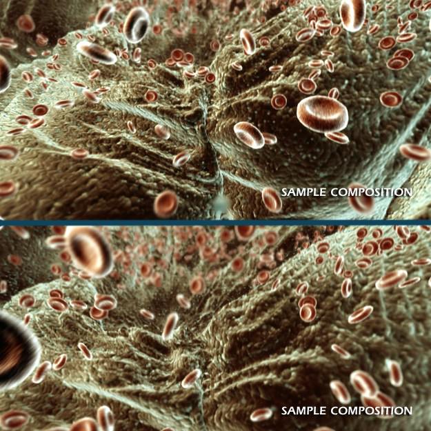 Red Blood Cells Animated 3D model_7