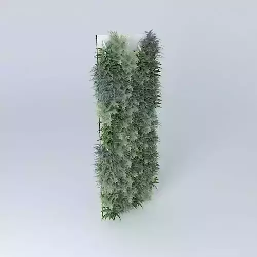 Vertical vegetation Garden