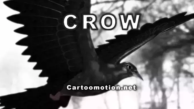 Crow - Animated Low-poly 3D model
