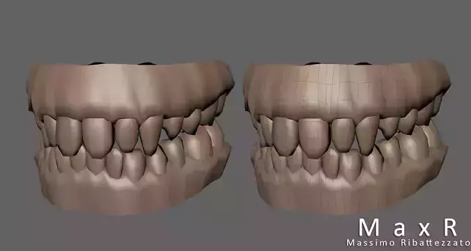 Teeth and gums 