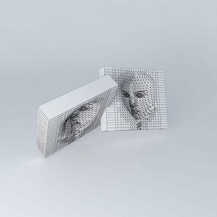 Magic Face From Baby to Adult Free 3D model_3