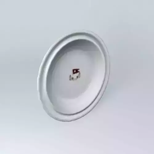 TITANIC 3rd Class Soup Dish Relic