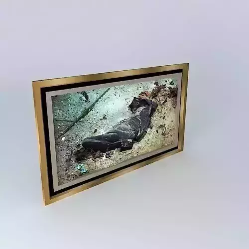 TITANIC Ocean Floor Relics Shoes  1912 1985