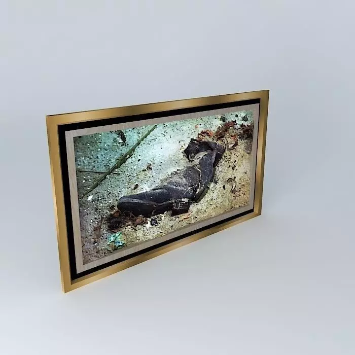 TITANIC Ocean Floor Relics Shoes 1912 1985 Free 3D model_0