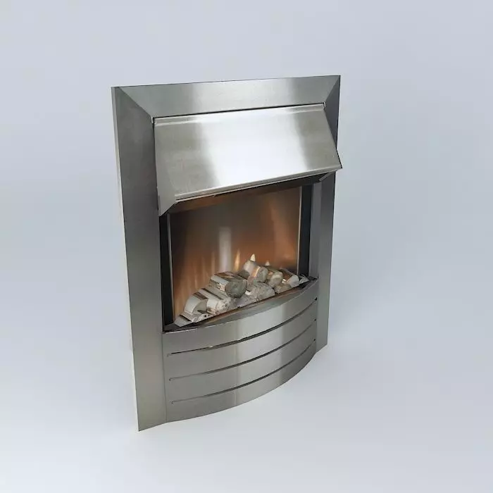 Stainless Electric Flame Fire Free 3D model
