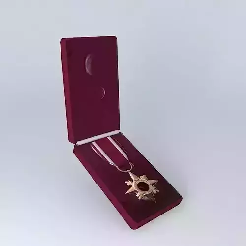 Star of Military Valour Canada Second Highest Award Free 3D model