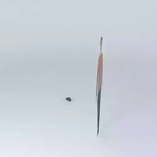 35 MM photograph camera