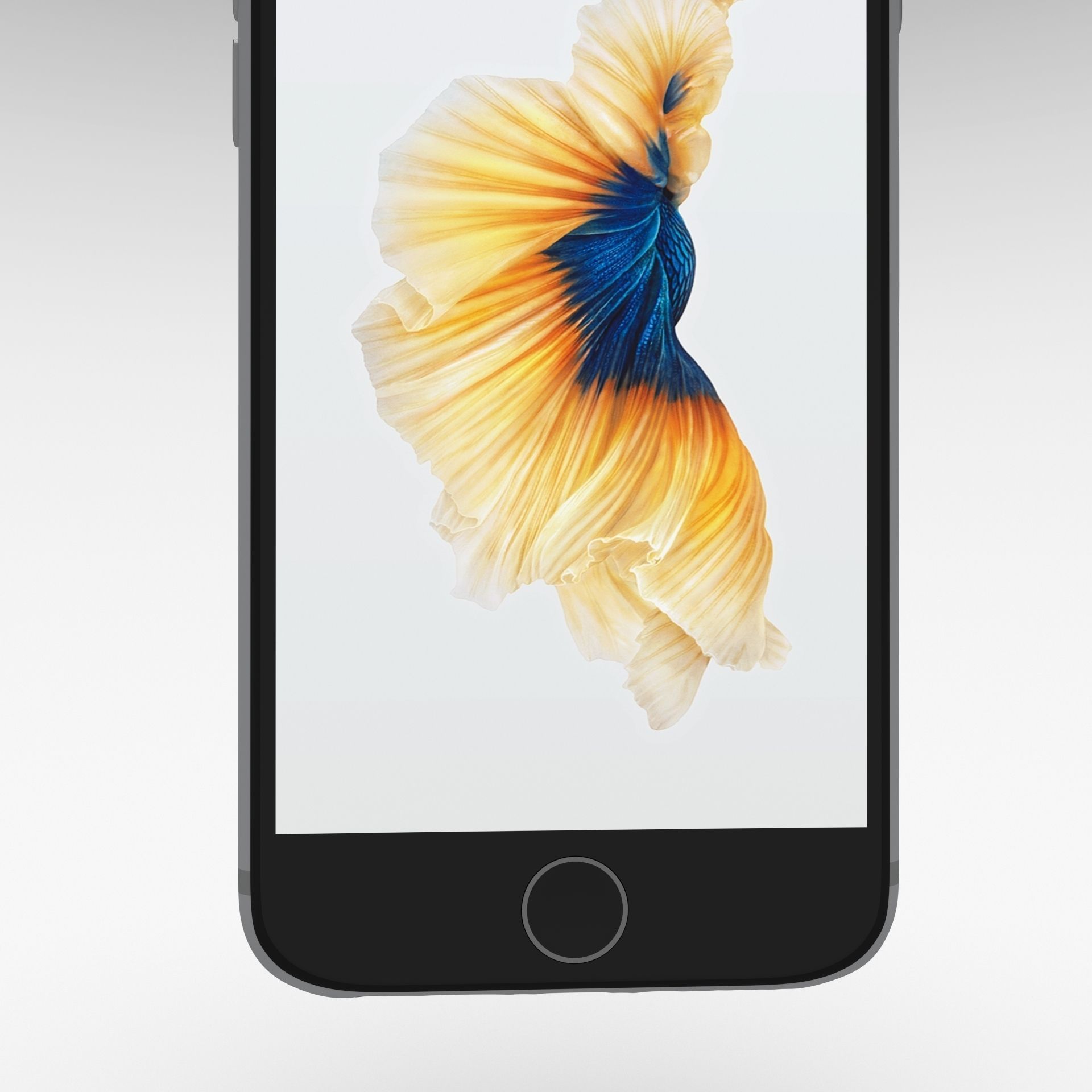 Iphone 6S Space Gray 3D model_8