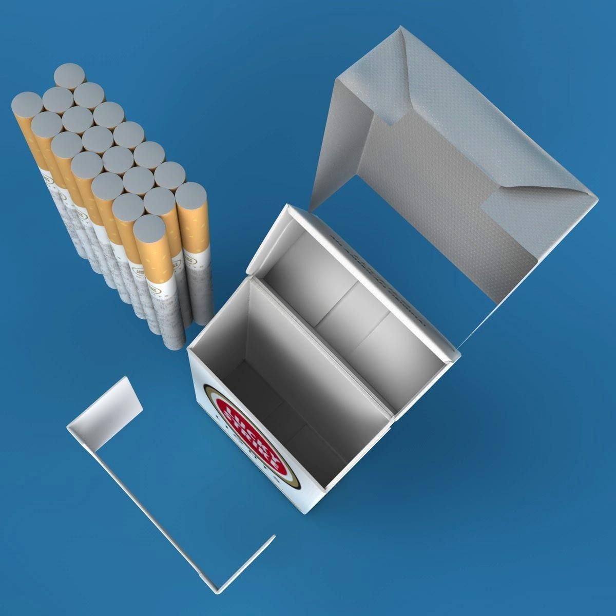 Realistic Cigarettes Pack - RIGGED 3D model_20