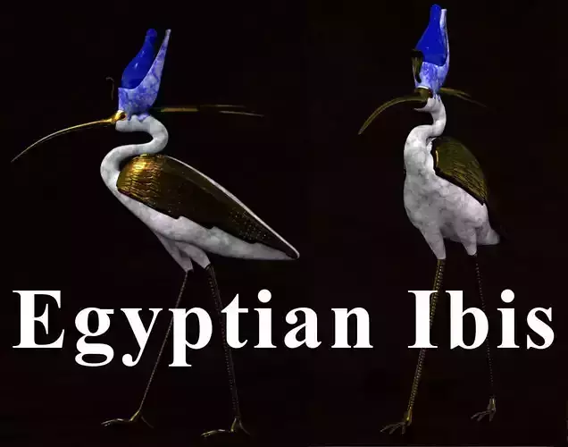 Egytptian Ibis 3D model