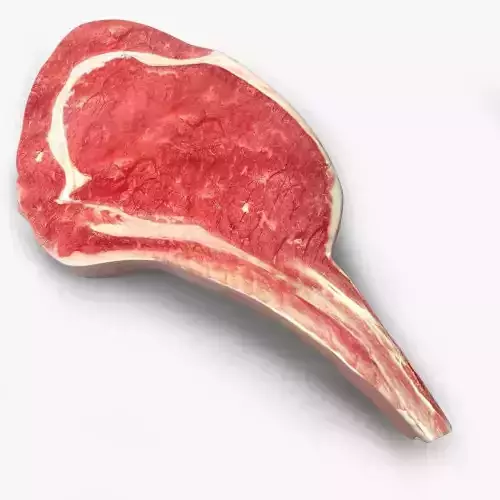 Beef Steak 3D model