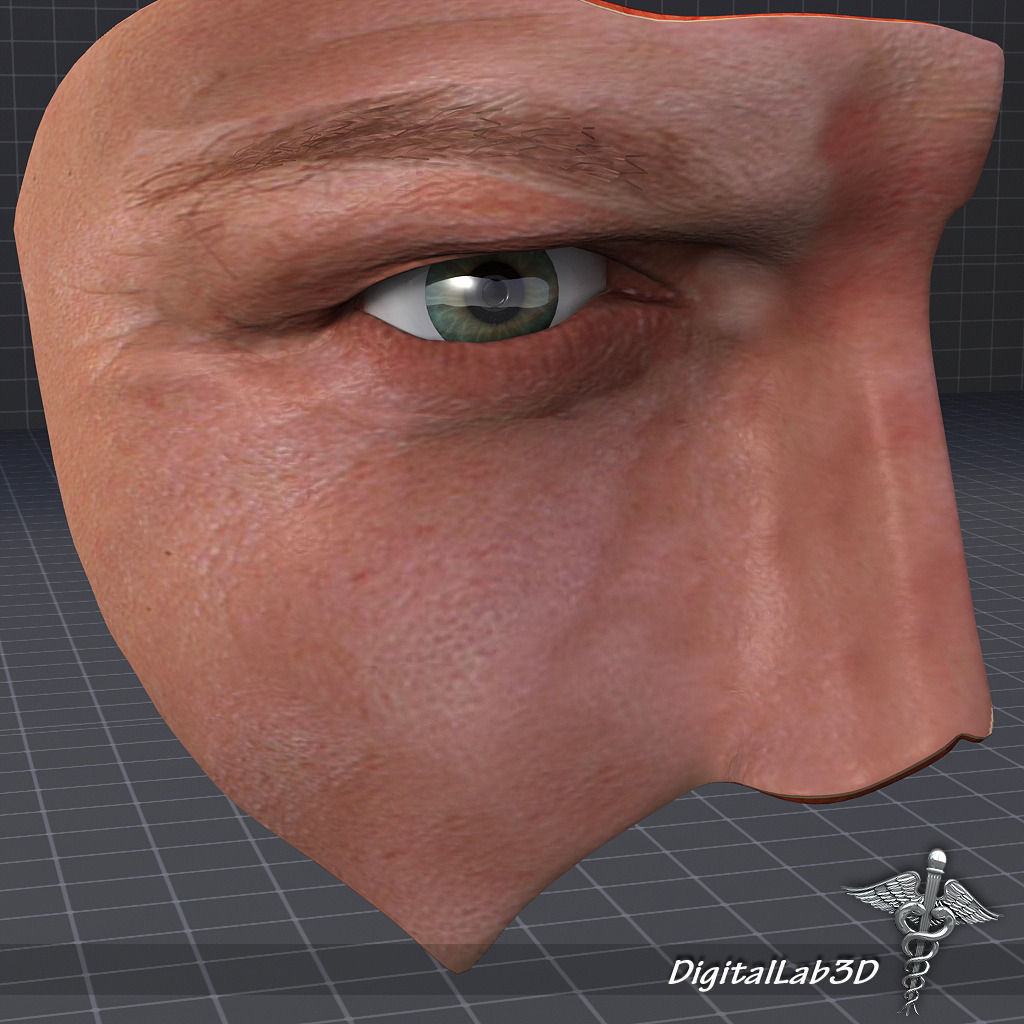 Human Eye Anatomy 3D model_3