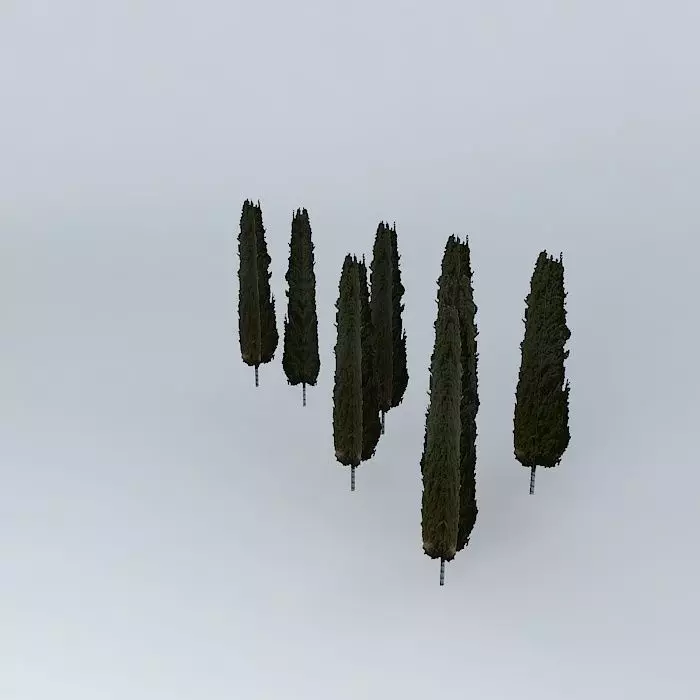 Church garden 1 Free 3D model