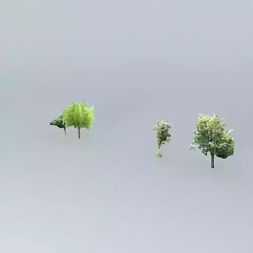 Center trees4