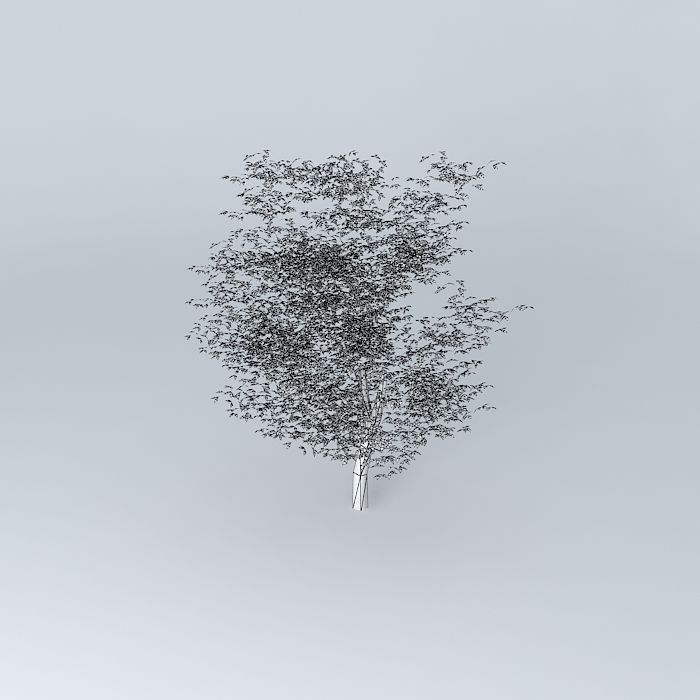 Tree corporate university Free 3D model_3