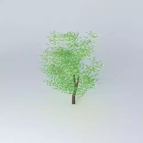 Tree corporate university