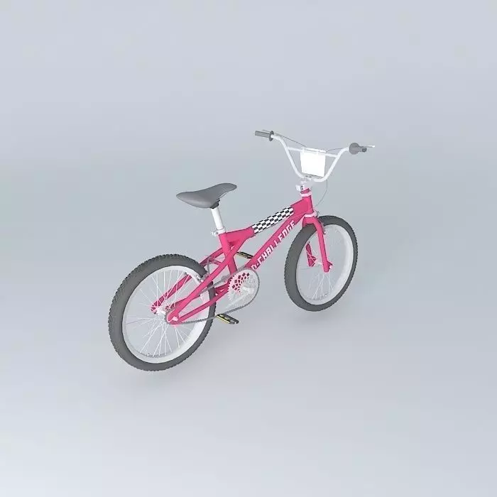 Boy bike Free 3D model_0