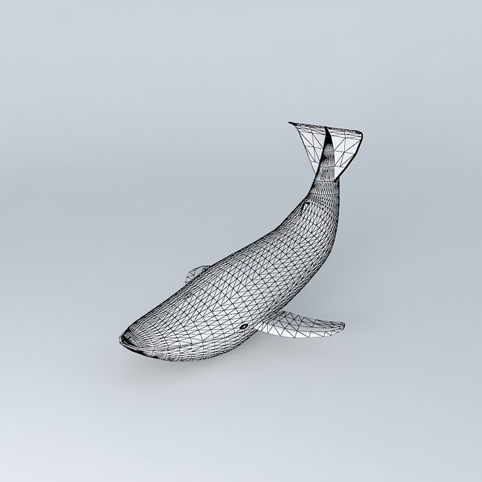 Blue whale Free 3D model_3