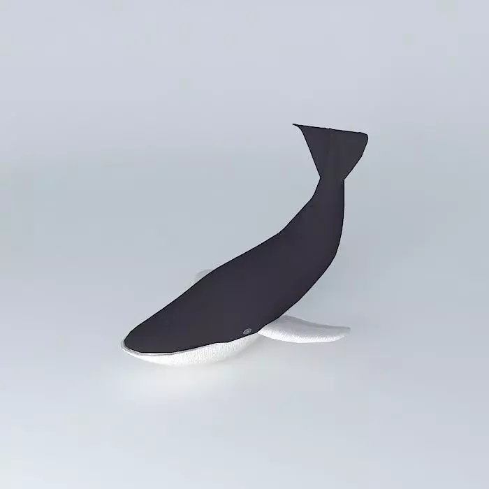 Blue whale Free 3D model_0
