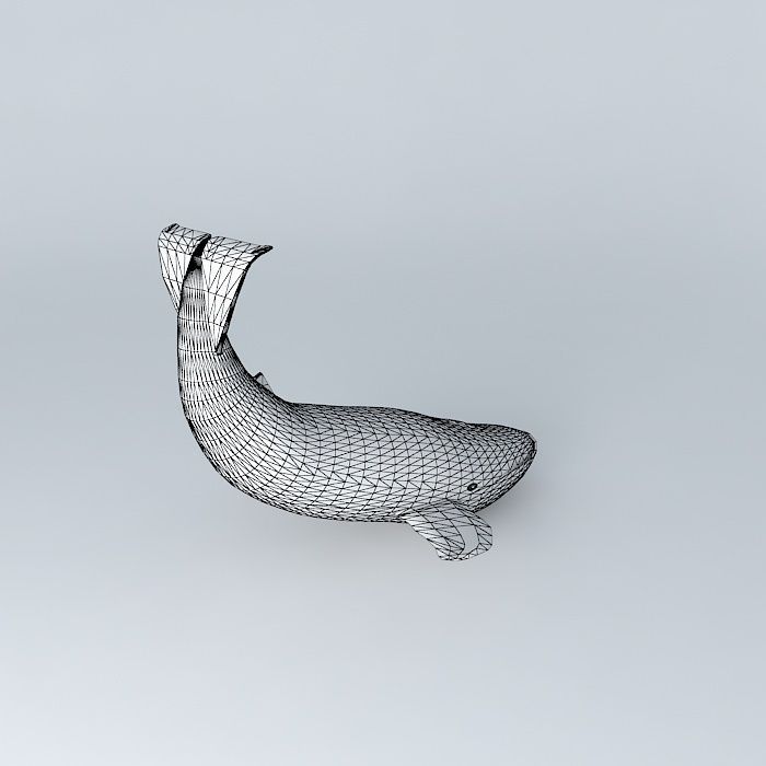 Blue whale Free 3D model_4