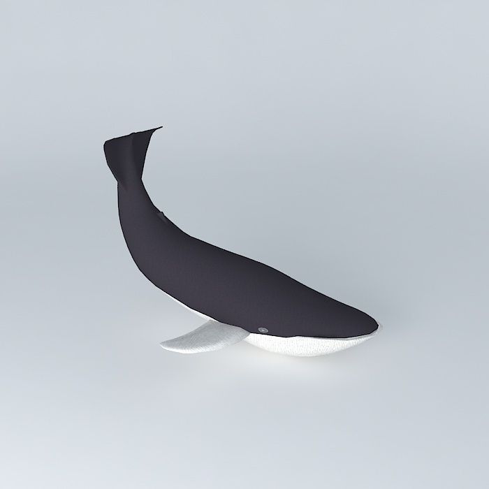Blue whale Free 3D model_1
