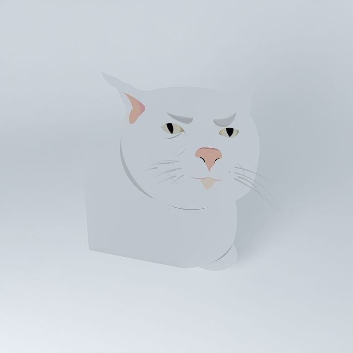 Serious cat Free 3D model_1
