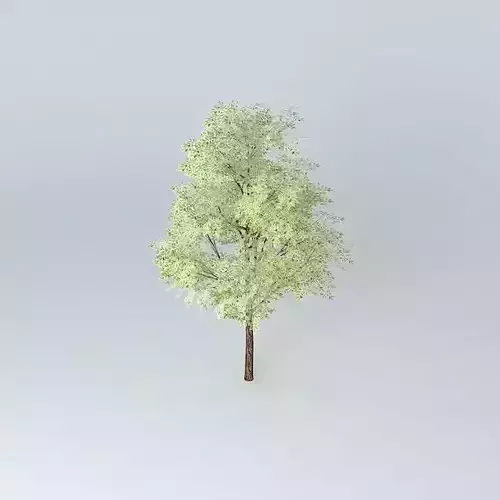 Green Tree